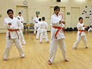 Yellow Belts Bo